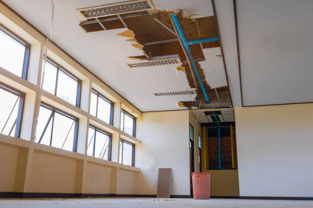 Best Water damage mitigation services  in Birmingham, AL