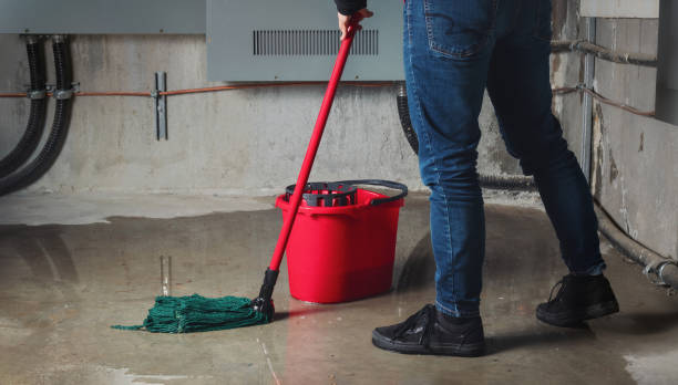 Best Carpet water damage restoration  in Birmingham, AL