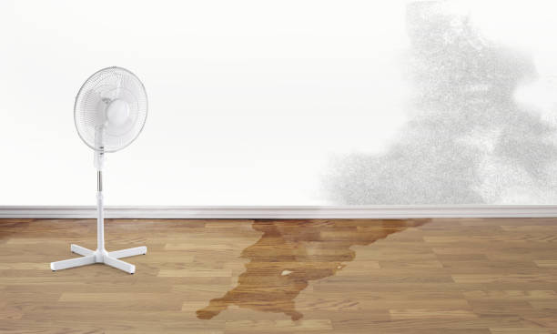 Best 24-hour water damage restoration  in Birmingham, AL