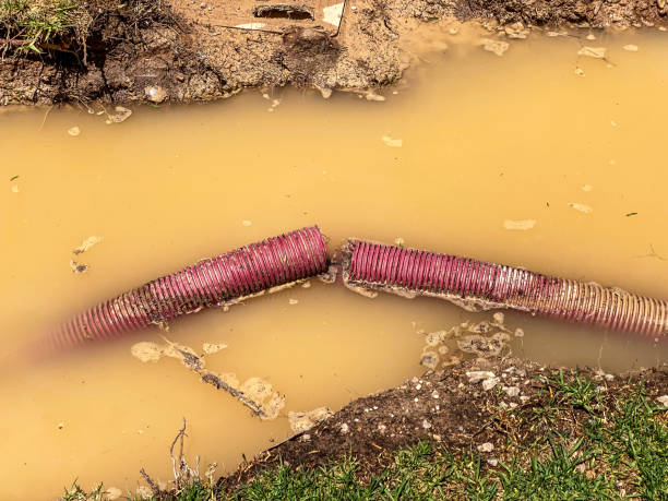 Best Professional water damage repair  in Birmingham, AL