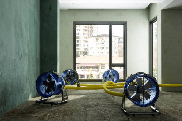 Best Water damage cleanup near me  in Birmingham, AL